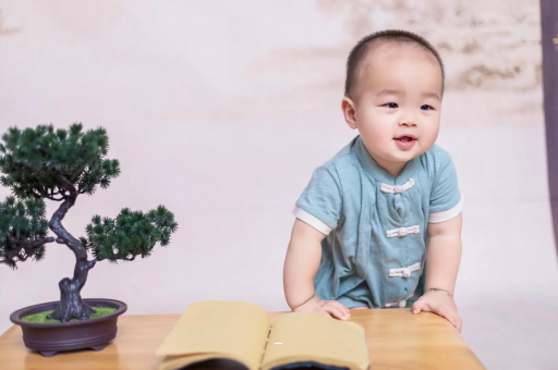 灯塔可爱的企鹅宝宝